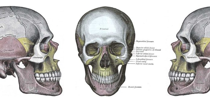 オーストラリアの医学部１年生が使う１５の教科書