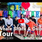 [フィリピン 英語 留学] SMEAG 語学学校 / 短期留学 : Whale Shark & Oslob Tour 10-12-19