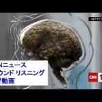 留学したのにTOEICが伸びない人向けおすすめ英語勉強法
