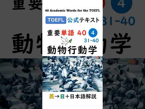 【TOEFL】1分で英単語40 ④ 動物行動学 Ethology  聞き流し リスニング #toefl