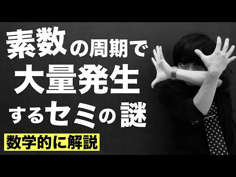 蝉と素数の関係【素数ゼミ】