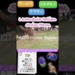 #ワーホリ #海外生活 #メルボルン生活  #オーストラリア #日常Vlog #ADHD #英語学習 #ワーホリ英語 #海外生活 #語学留学 #ワーホリ8ヶ月目 #vlog