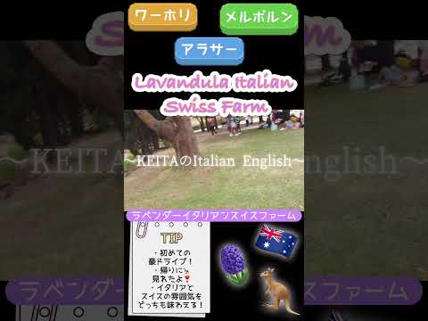 #ワーホリ #海外生活 #メルボルン生活  #オーストラリア #日常Vlog #ADHD #英語学習 #ワーホリ英語 #海外生活 #語学留学 #ワーホリ8ヶ月目 #vlog